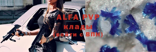 гашик Белоозёрский