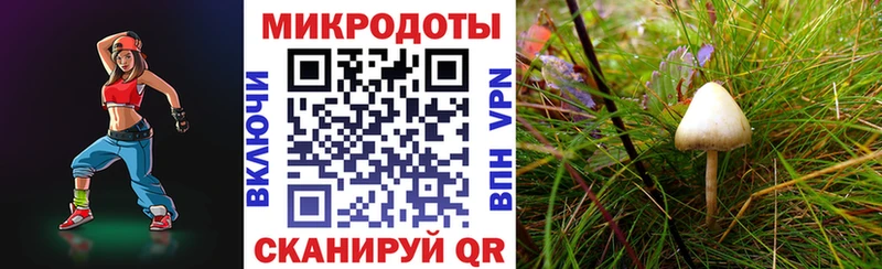 сколько стоит  Бугульма  Псилоцибиновые грибы Cubensis 